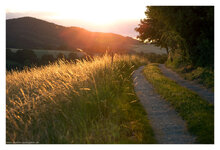 forum_2014_06_15_0671.jpg forum_2014_06_15_0671.jpg