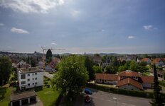 IMG_2466.jpg