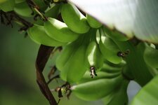 IMG_0071.jpg