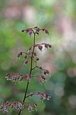IMG_5637.jpg
