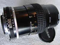 DSC07481.JPG