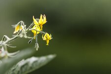 Dslr_0150.jpg