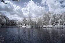 an_fischteichen_DSC01364.jpg