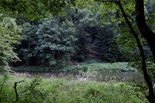 IMG_0314_DxO.jpg
