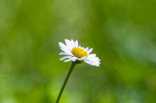 003_Canon_Crop.jpg