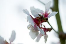 IMG_1599.jpg
