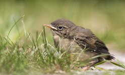 compIMG_3862.jpg