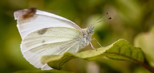 kleingerechnet_IMG_3712-1.jpg