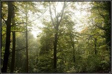 IMG_7802.jpg