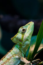 20111101-DSC00902.jpg
