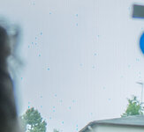 DSCF0187.jpg