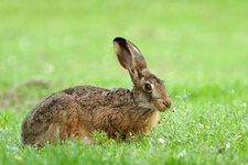 c_IMG_4147.jpg