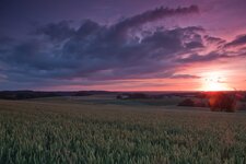 Sonnenuntergang k.jpg