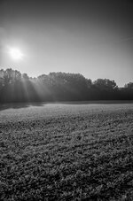 R0000066.jpg