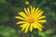 R0000051.jpg