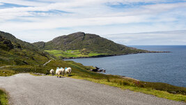 Irland, 2012-73.jpg