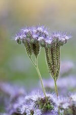 MM_20140628_9926-Bearbeitet-2.jpg