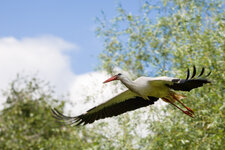 140615_Zoo_Rheine-18.jpg