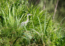 LR4_IMG_5369_DSLR.jpg