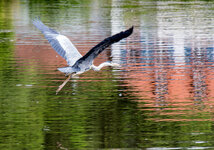 LR4_IMG_5370_Dslr.jpg