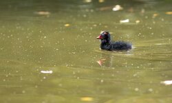 compIMG_3919.jpg