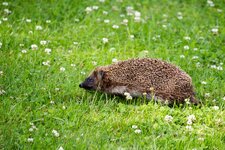 IMG_0330.jpg