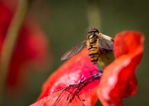 1600kleingerechnet_IMG_3055-1.jpg
