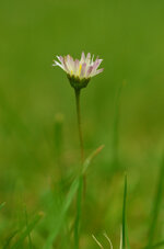 Tamron_02.jpg
