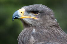 20111101-IM2_0584.jpg