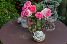 Rosen K-01 20140731_FR.jpg