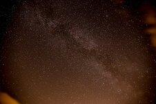 IMG_0684_1.jpg