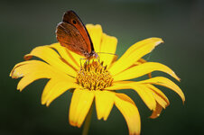 IMG_7763.jpg