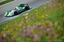 140719-elms-00-MJU_9292.JPG