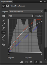IndianerinAufmAcker.png