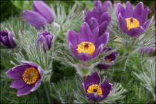 IMG_1028_DSLR.jpg