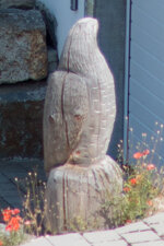 LiveView02_f1-8.jpg