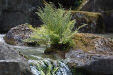 _D713307-k.jpg