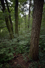 140726_0303_00004.jpg
