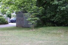baum1.jpg