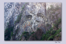 IMG_5964.jpg IMG_5964.jpg