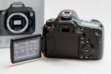 EOS 60D-100_tn.jpg