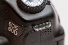 EOS 60D-105_tn.jpg