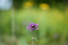 DSC_7055-2.jpg