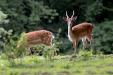 compIMG_4199.jpg