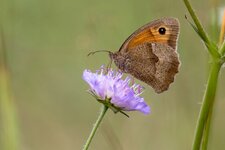 compIMG_4372.jpg