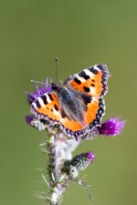 compIMG_4423.jpg