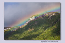 IMG_6278.jpg IMG_6278.jpg