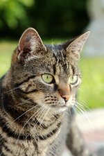traum-IMG_4499.jpg