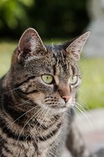 traum-img4499-lightroom (1 von 1).jpg