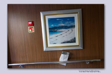 IMG_6293.jpg IMG_6293.jpg